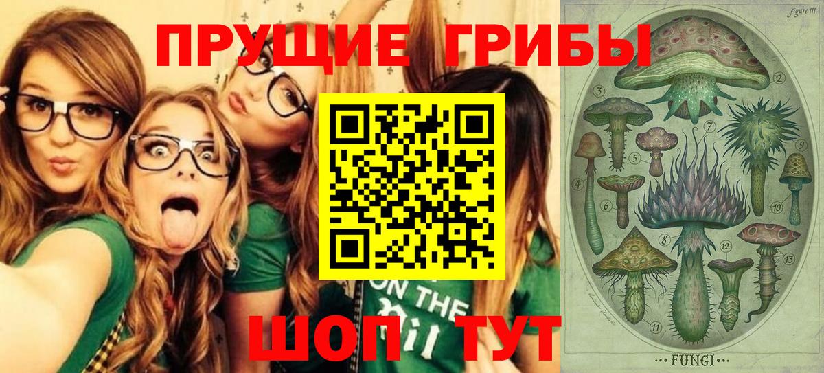 Псилоцибиновые грибы мухоморы  Галлюциногенные грибы ЛСД  Белово  Вход с VPN 